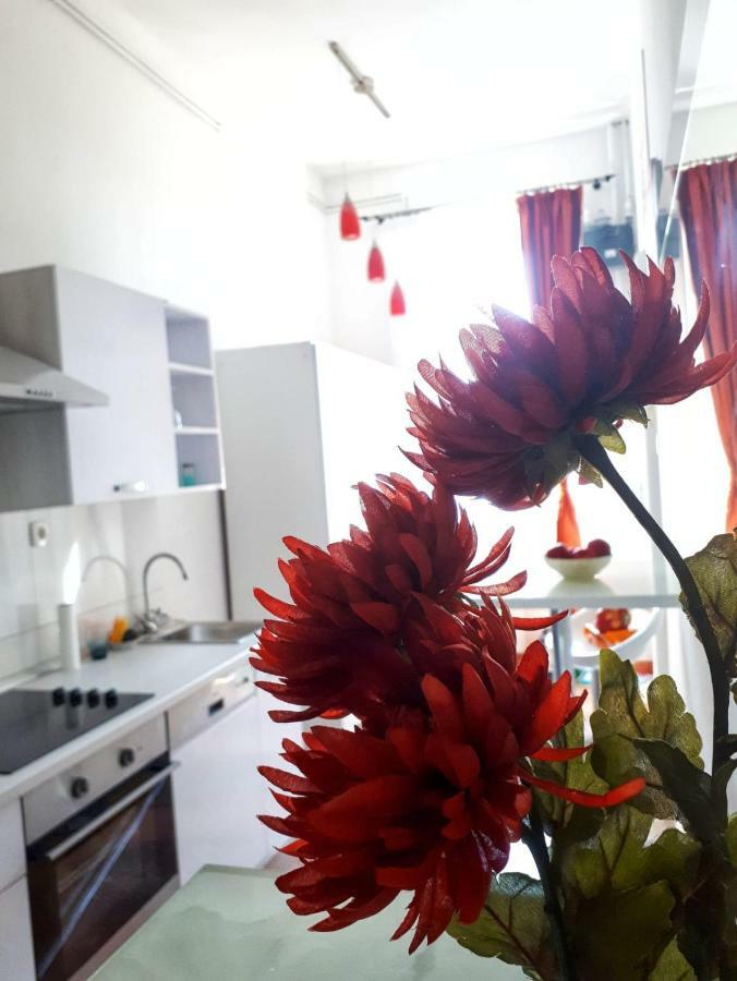 Appartement Zrinjevac *